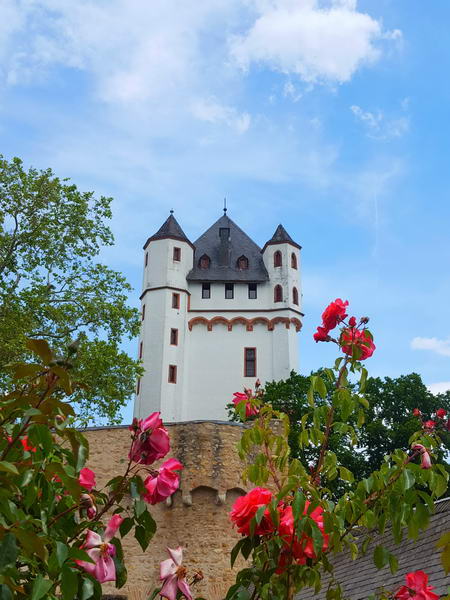 Kurfürstliche Burg | Eltville Am Rhein