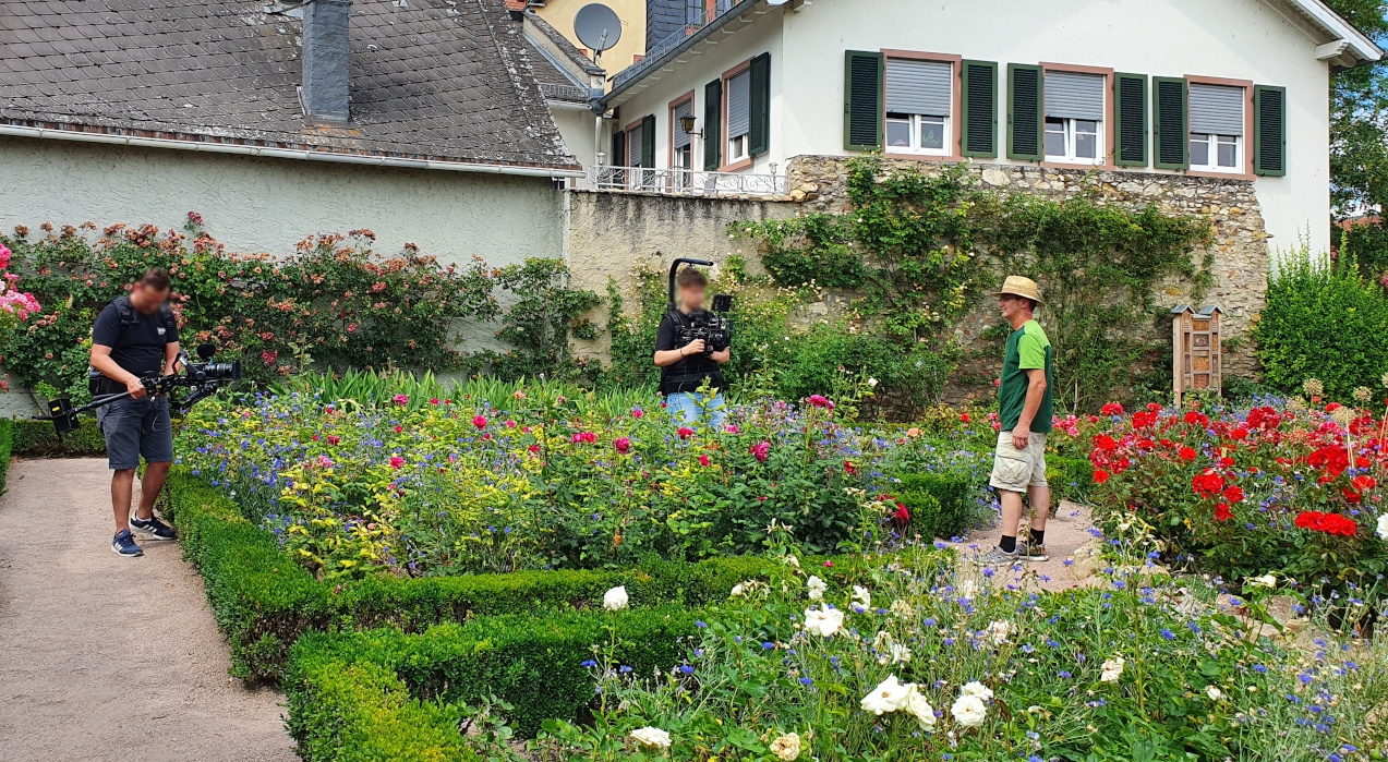 „Rheingau Geflüster“: Eltviller Geschichten Digital Entdecken ...