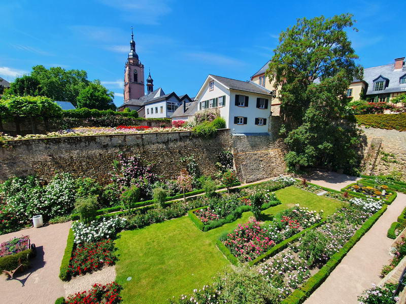 Rosengarten | Eltville Am Rhein