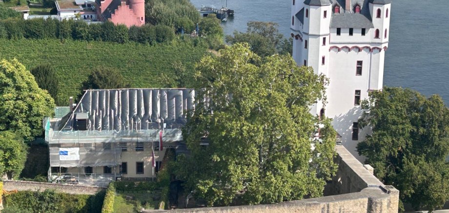 Ein Blick von oben auf die Kurfürstliche Burg, mit Turm und Mauer. Gebäude mit offenem Dach; großer Baum im Burghof. Daneben der Fluss Rhein und Weinberge