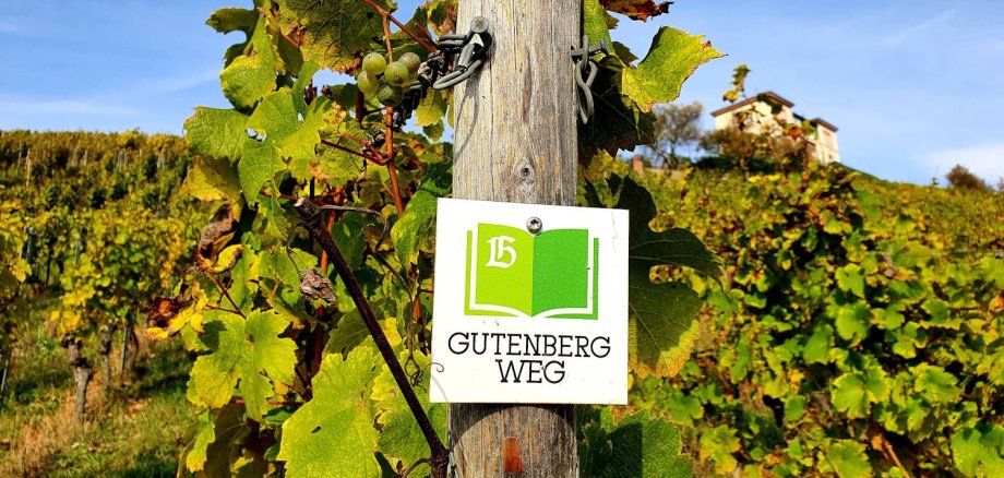 Das Wanderschild für den Gutenbergweg hängt an einem Pfahl in den Weinbergen.