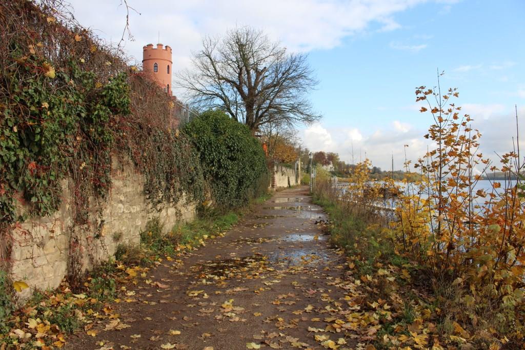 Wandern | Eltville Am Rhein