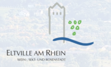 Screenshot vom Stadt-Logo auf der Homepage